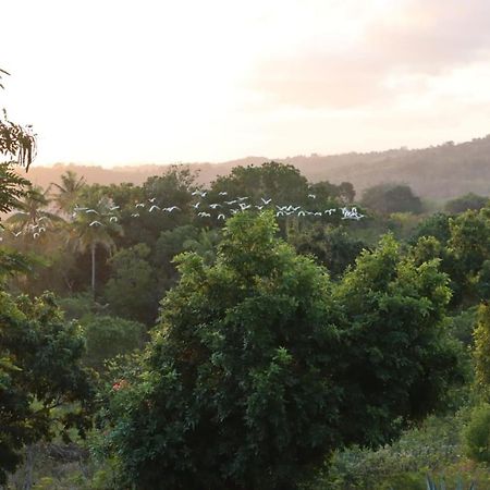 Sumba Nautil Resort Deke ภายนอก รูปภาพ
