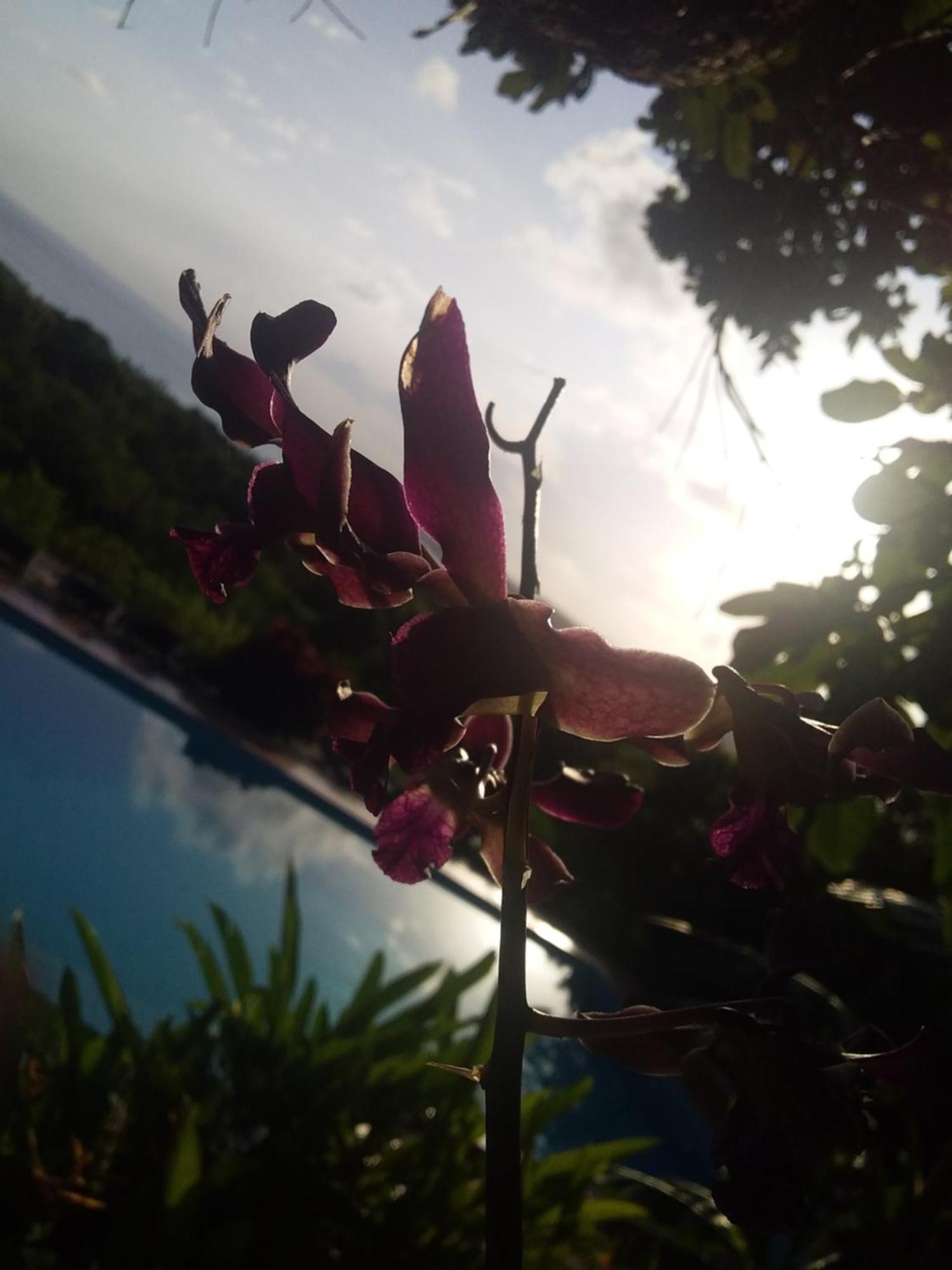 Sumba Nautil Resort Deke ภายนอก รูปภาพ