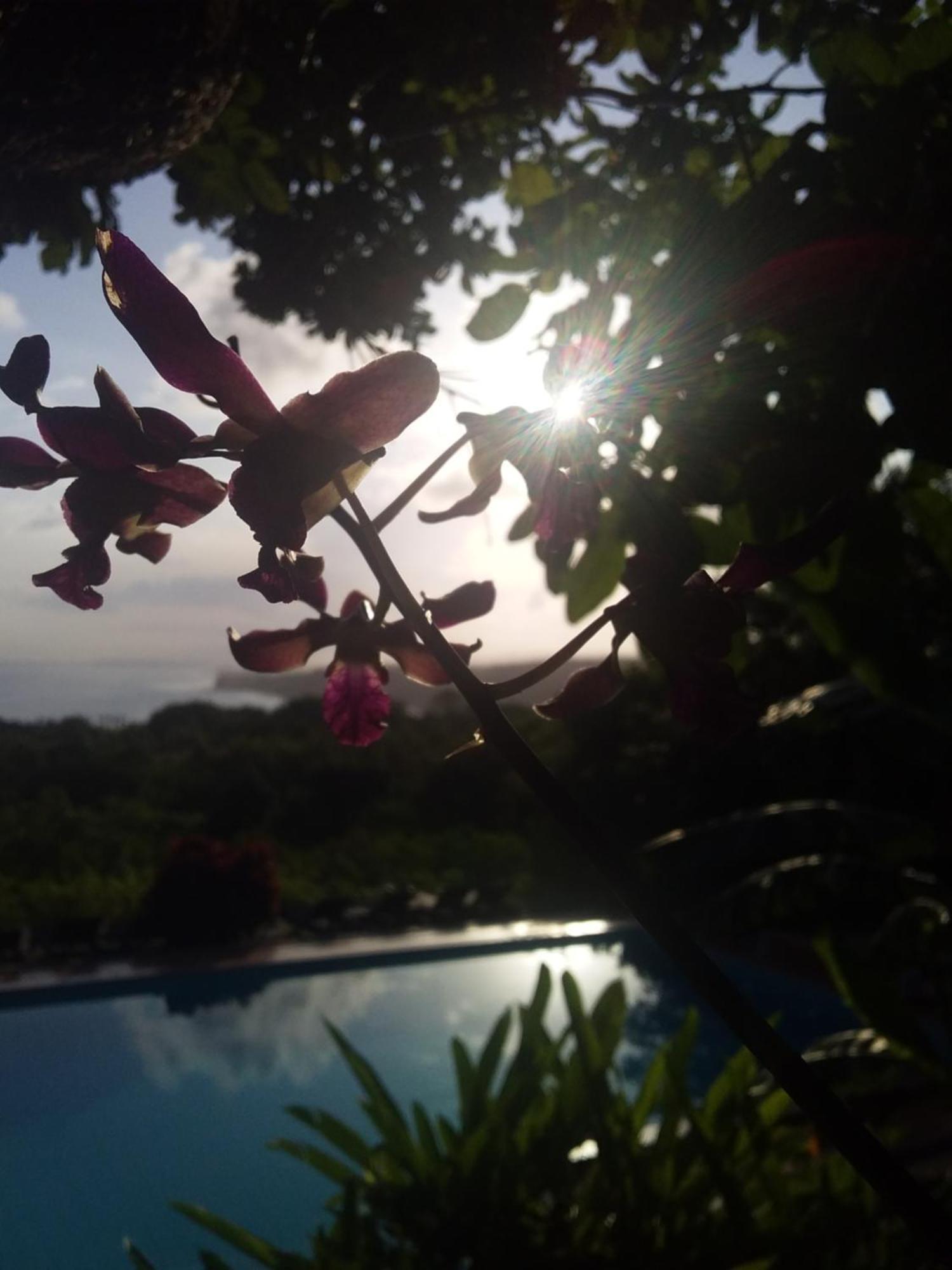 Sumba Nautil Resort Deke ภายนอก รูปภาพ